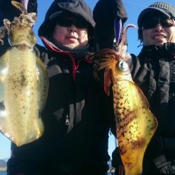 シースナイパー海龍 釣果