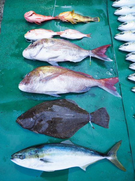 まるいち丸 ZERO-1 釣果