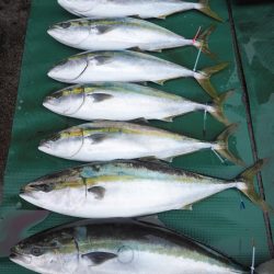 まるいち丸 ZERO-1 釣果