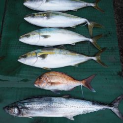 まるいち丸 ZERO-1 釣果