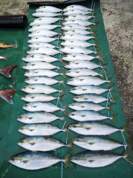 まるいち丸 ZERO-1 釣果