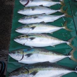 まるいち丸 ZERO-1 釣果