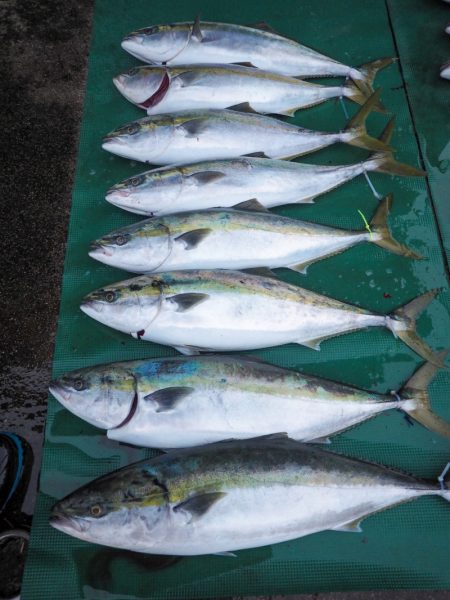 まるいち丸 ZERO-1 釣果