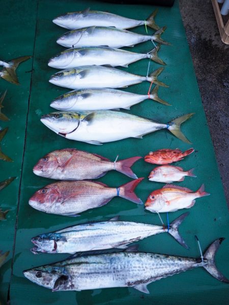 まるいち丸 ZERO-1 釣果