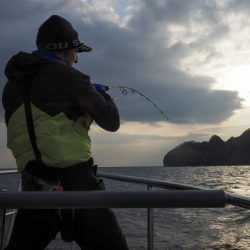 まるいち丸 ZERO-1 釣果