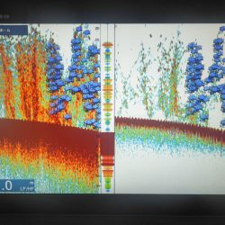 まるいち丸 ZERO-1 釣果