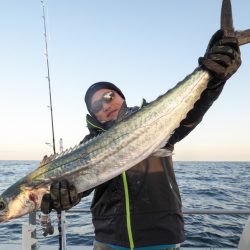 まるいち丸 ZERO-1 釣果