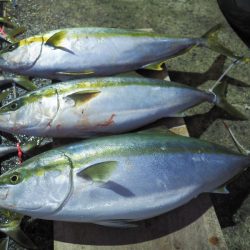 まるいち丸 ZERO-1 釣果