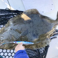 まるいち丸 ZERO-1 釣果