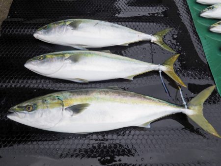 まるいち丸 ZERO-1 釣果