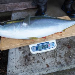 まるいち丸 ZERO-1 釣果