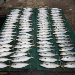 まるいち丸 ZERO-1 釣果