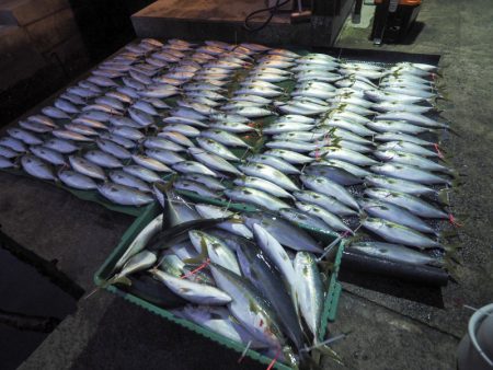 まるいち丸 ZERO-1 釣果