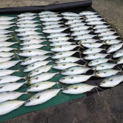 まるいち丸 ZERO-1 釣果