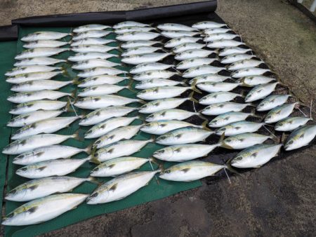 まるいち丸 ZERO-1 釣果