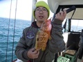 釣船　キティ 釣果