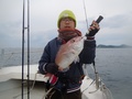釣船　キティ 釣果