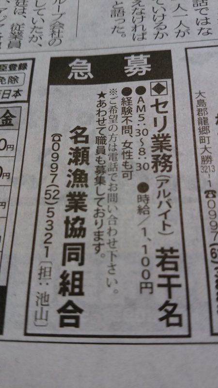 オーシャンパイオニア 釣果