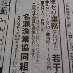 オーシャンパイオニア 釣果