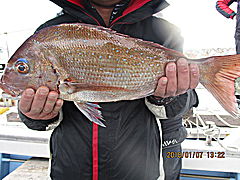 遊漁船 未紗奈 釣果