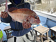 遊漁船 未紗奈 釣果