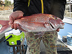 遊漁船 未紗奈 釣果