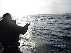 遊漁船 未紗奈 釣果