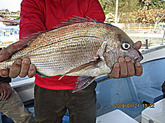遊漁船 未紗奈 釣果