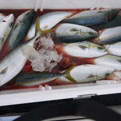 ジギング船 BLUEWATER 釣果