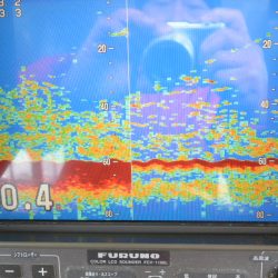 ジギング船 BLUEWATER 釣果