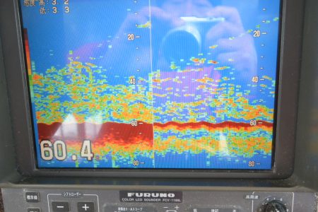 ジギング船 BLUEWATER 釣果