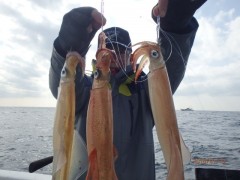 増福丸 釣果