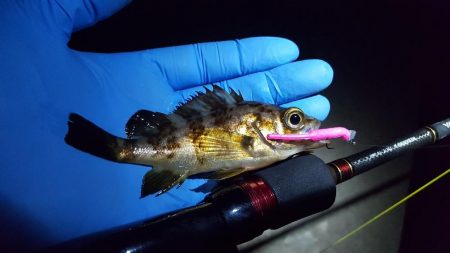 爆風とド干潮の中