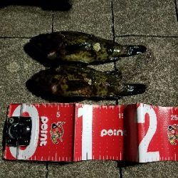 寒い中の短時間勝負！勝ちました