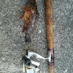 ガシラ釣り ~とにかく寒い~