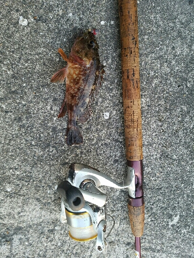 ガシラ釣り ~とにかく寒い~