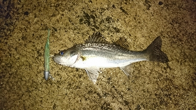 雨ん中ですがお約束の・・・♪