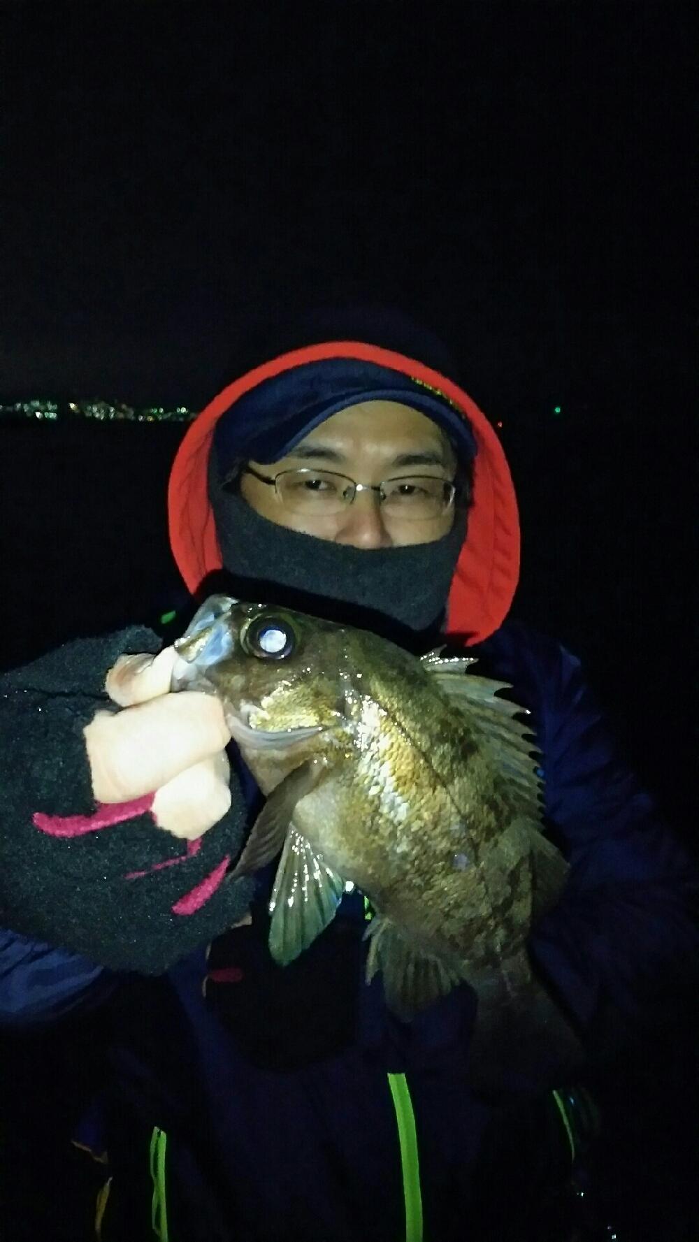 大蔵海岸での釣り 冬のメバリング ロックフィッシュ釣り情報 釣果 カンパリプラス