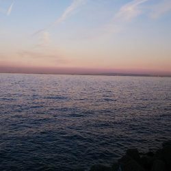 メバルプラッギング！