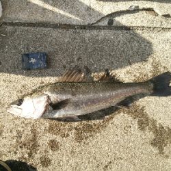 風強すぎ！寒すぎ！