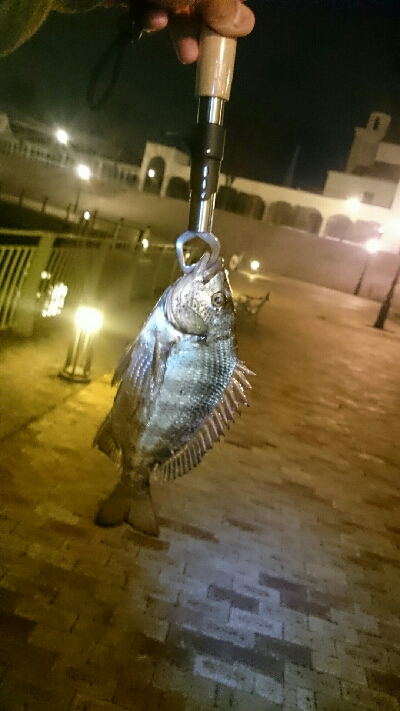 南港しか選択なかったんで、場所は舞洲付近です