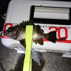 ラインセレクト