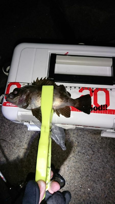 ラインセレクト