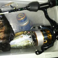 レブロス　ダイワのリールを使用したアジング情報　カンパリ投稿2017年12月まとめ