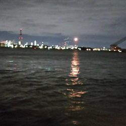 休みになったら北西爆風(*_*)