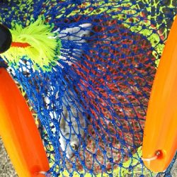 新年初エビ撒き釣り