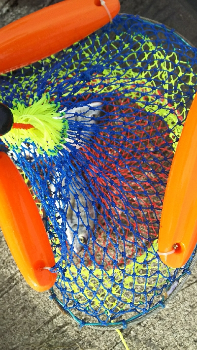 新年初エビ撒き釣り