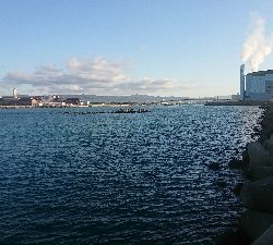 釣り部 釣行記 11