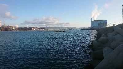 釣り部 釣行記 11