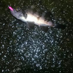 雨でもやりまっせ！